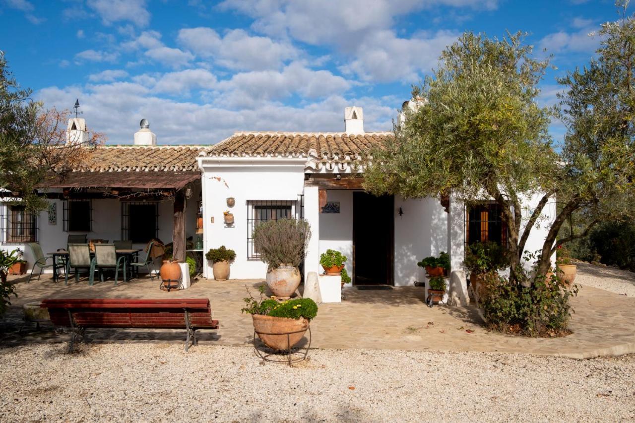 Refugio Andaluz Con Piscina Entre Olivos Villanueva de Tapia Buitenkant foto