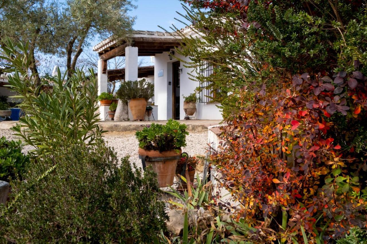 Refugio Andaluz Con Piscina Entre Olivos Villanueva de Tapia Buitenkant foto