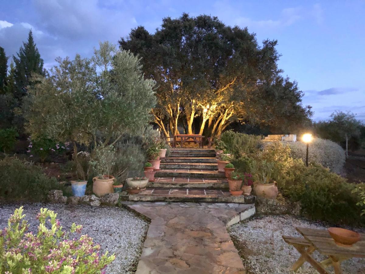 Refugio Andaluz Con Piscina Entre Olivos Villanueva de Tapia Buitenkant foto