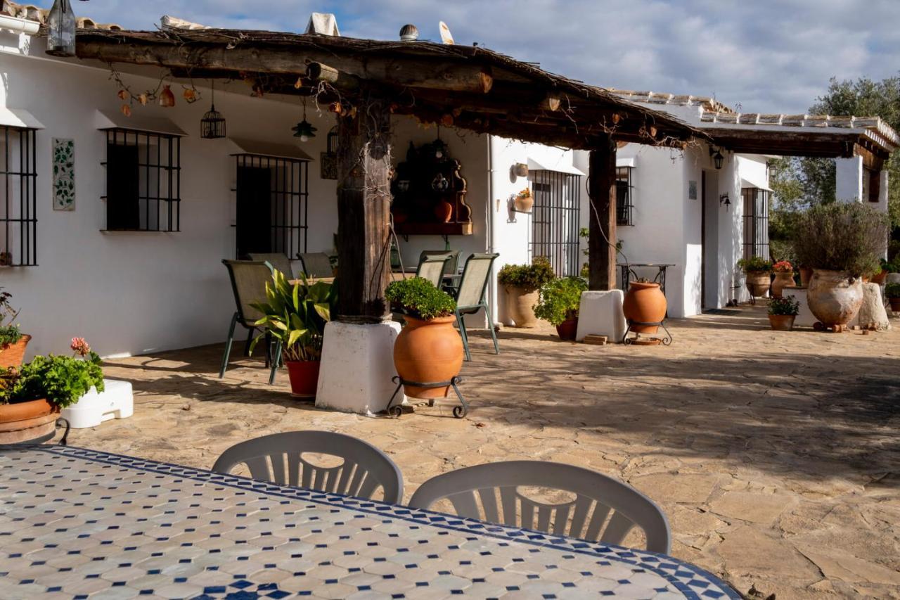 Refugio Andaluz Con Piscina Entre Olivos Villanueva de Tapia Buitenkant foto
