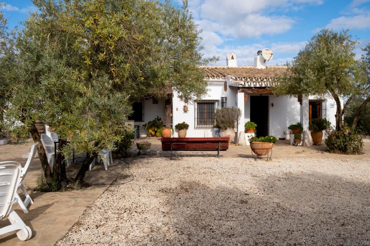 Refugio Andaluz Con Piscina Entre Olivos Villanueva de Tapia Buitenkant foto