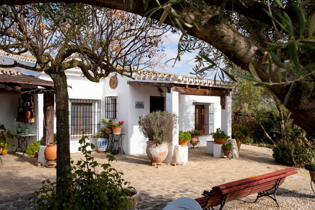 Refugio Andaluz Con Piscina Entre Olivos Villanueva de Tapia Buitenkant foto
