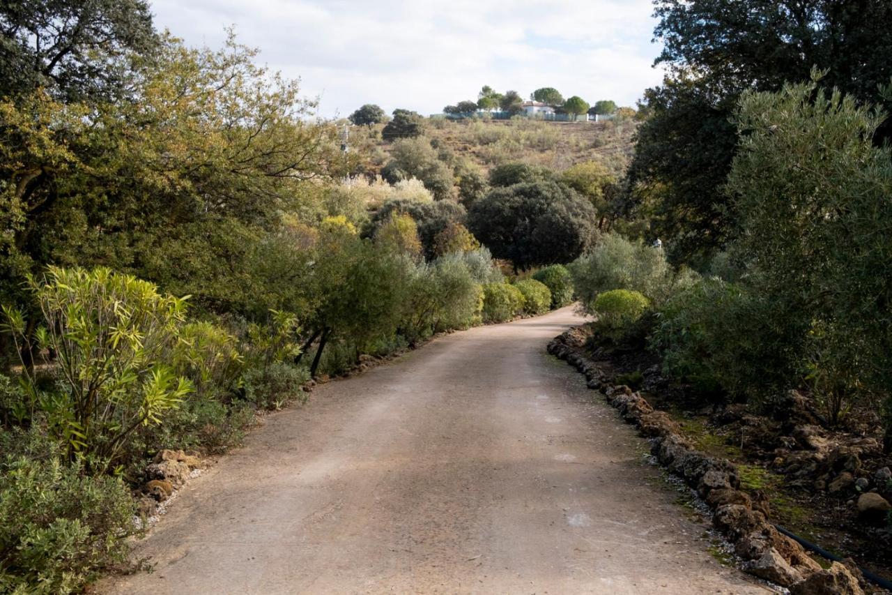Refugio Andaluz Con Piscina Entre Olivos Villanueva de Tapia Buitenkant foto