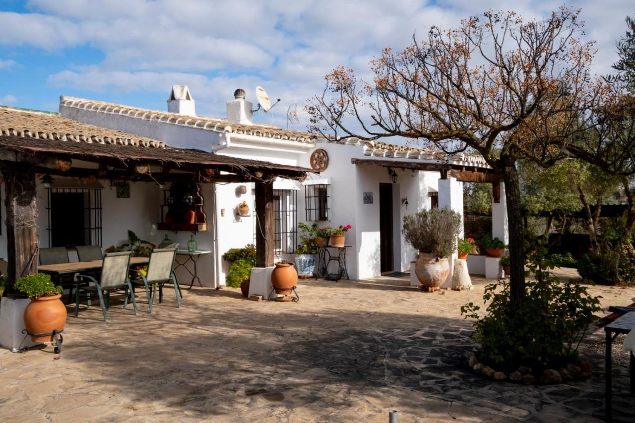 Refugio Andaluz Con Piscina Entre Olivos Villanueva de Tapia Buitenkant foto