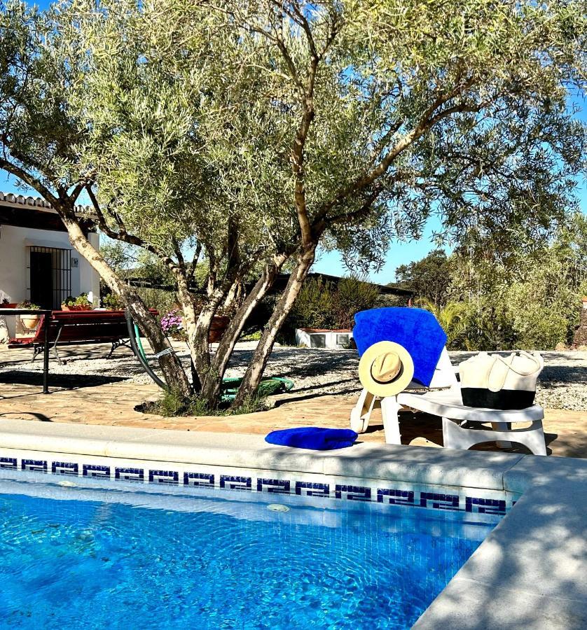 Refugio Andaluz Con Piscina Entre Olivos Villanueva de Tapia Buitenkant foto