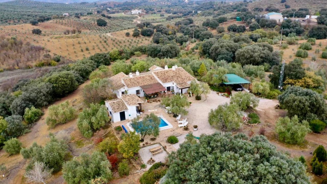 Refugio Andaluz Con Piscina Entre Olivos Villanueva de Tapia Buitenkant foto