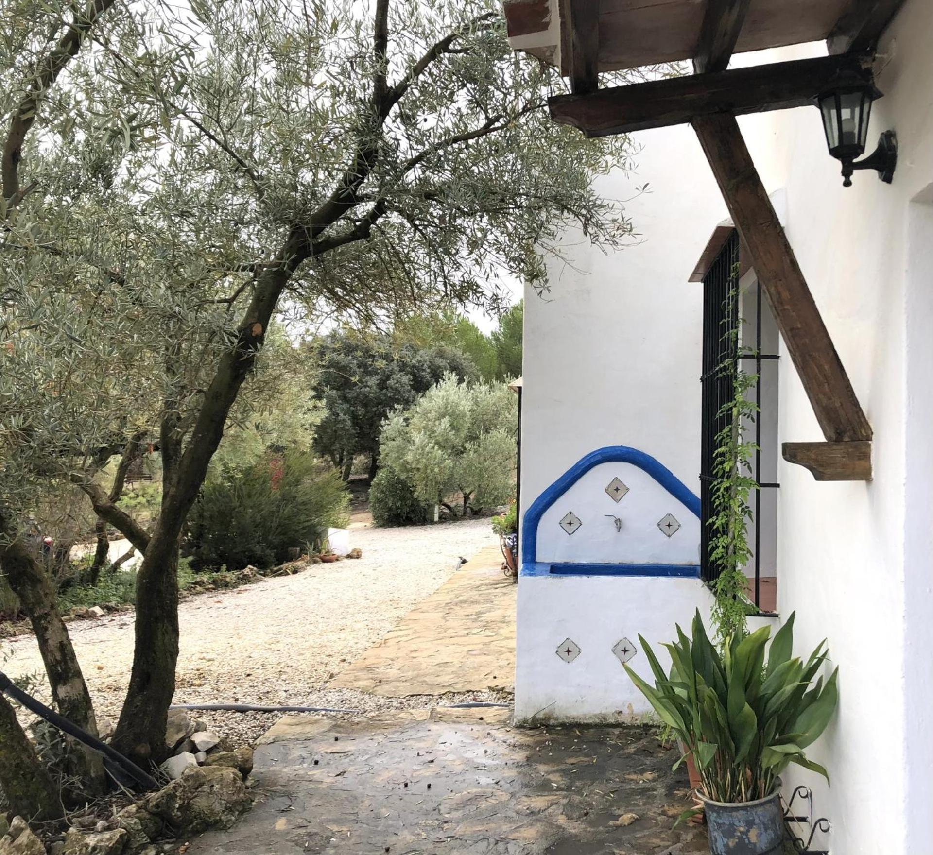 Refugio Andaluz Con Piscina Entre Olivos Villanueva de Tapia Buitenkant foto